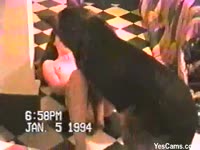Beautiful petite babe receiving dog oral sex before getting hard fucked